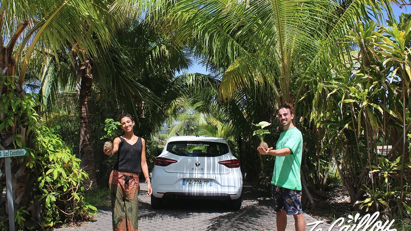 0-nouloutou-kokedama-reunion