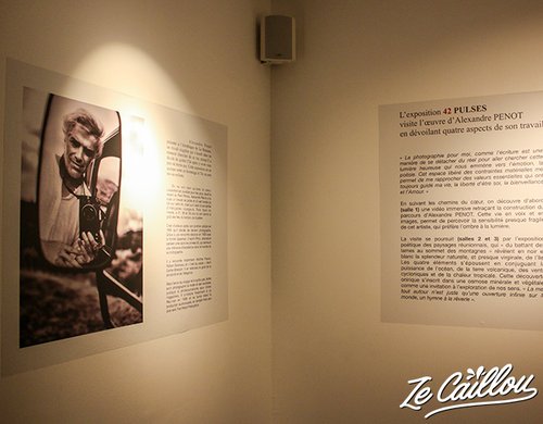 1-nouloutou-artotheque-musee-reunion-expo-penaut