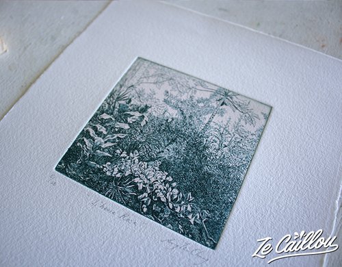 2-atelier-gravure-hermine-studio-paysage