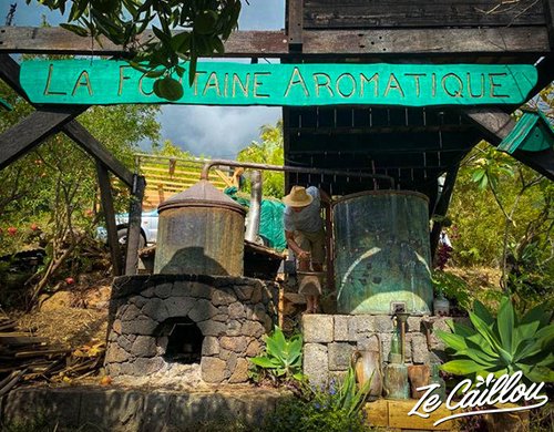 2-fontaine-aromatique-alambic-distillation