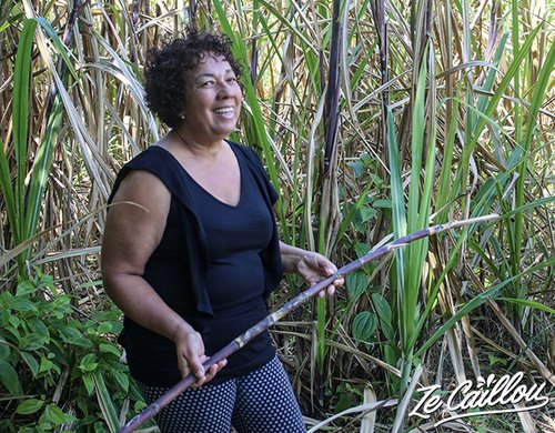 5-domaine-de-coco-visite-sylviane-coupe-canne-sucre