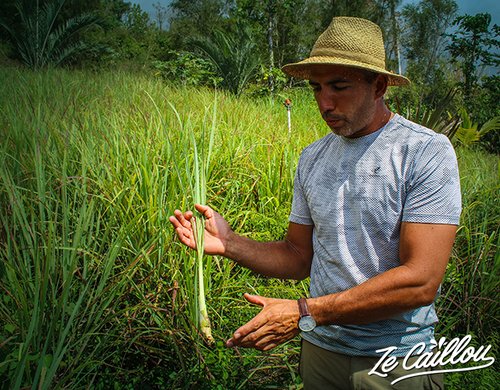 5-fontaine-aromatique-plantes-johanjpg