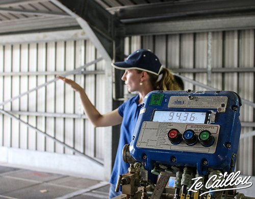 5-visite-distillerie-riviere-du-mat-fermentation
