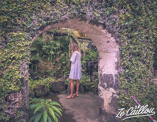 6-mascarin-jardin-botanique-plantes-carnivores