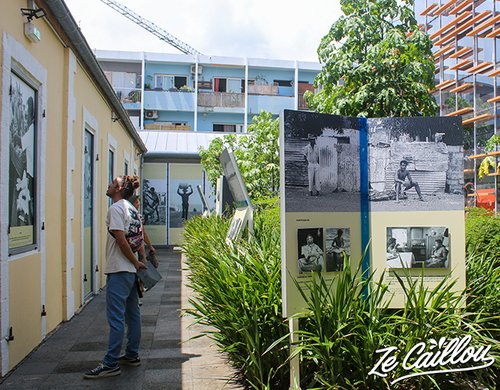 6-nouloutou-artotheque-musee-reunion-expo-plein-air