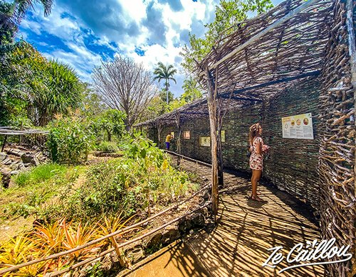 7-jardin-deden-ruche-miel-reunion