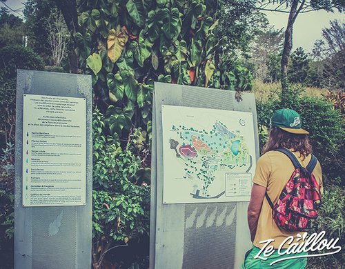 7-mascarin-jardin-botanique-visite-domaine