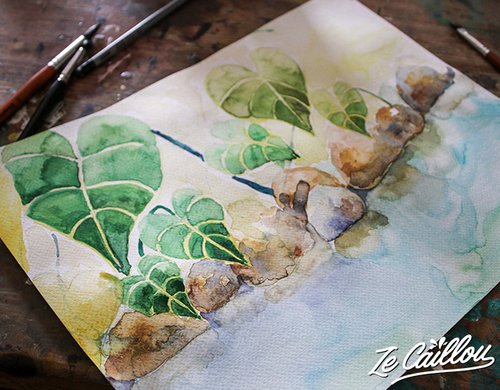 8-cours-aquarelle-reunion-feuille-songe
