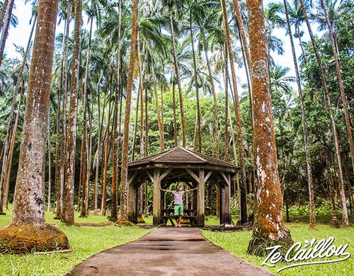 9-pique-nique-anse-cascades